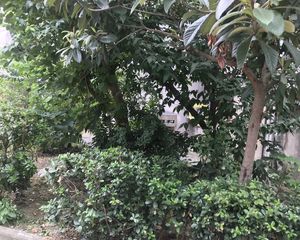 昌安东村两室一厅近人民医院阳光好看房方便