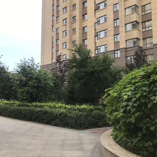 德展长春印3室2厅2卫南北朝向2000.00元/月出租