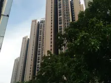 临深圳龙岗一路之隔 交通便利 安静居住舒适 通透