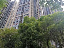 万科金色海蓉二期 2室2厅 东南