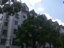 中环内,一T两户,13|18双轨交通,浦东妇婴保健院