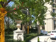 近地铁 毛坯 电梯房,产权清晰,新上房源