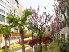 金山郡 3室2厅 南