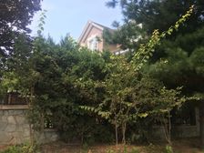 窦店镇提香草堂环境优美满五唯一