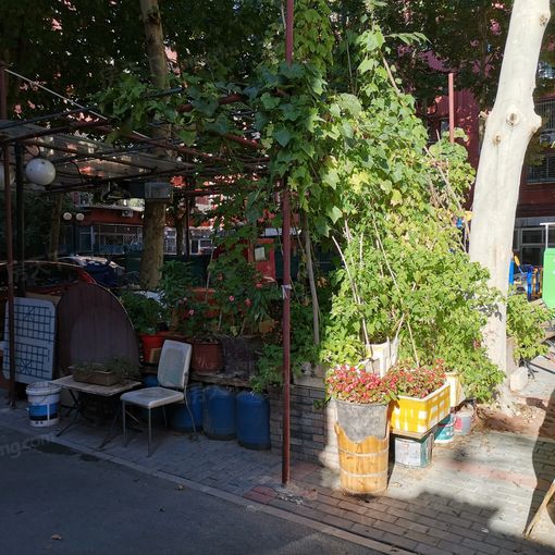 石榴庄西街小区1室1厅1卫南北朝向4700.00元/月出租