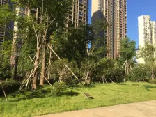 天兴翰林苑 南北通透,采光好 视野好,诚心出售