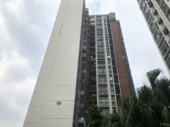 i派龙城