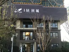 碧桂园凤凰城 3室2厅 南