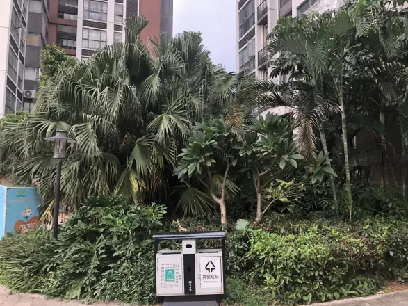 i派龙城