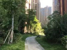 光线充足,前面没有遮挡,可以看见乌沙河