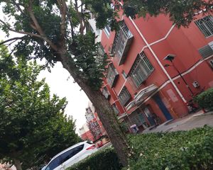 百合园3室1厅南北