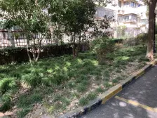 无抵押,拎包入住 产权清晰 必看好房