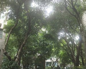 怡丰花园3室2厅南北