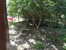 徐汇08年商品房,高层视野好,新上三房实地看房感受好