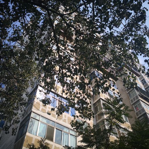 苹果园二区2室1厅1卫南朝向4800.00元/月出租