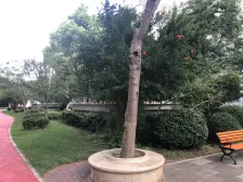 近地铁,无抵押 产权清晰,现场实勘,业主诚意