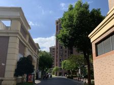 刚需上车,电梯房新上房源