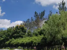 05室远离沪太路,采光组遮挡,河景房