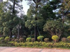 中熙君墅湾 5室2厅 南