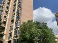 人车分流,电梯房,刚需上车,现场实勘,业主诚意