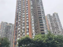 双轻轨 100多平米左右屋顶花园 楼上还有一间茶室