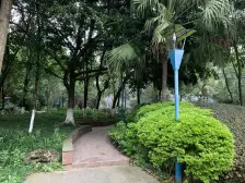 必看!出门1.5号线轻轨跃层住宅森林和渝高双选择