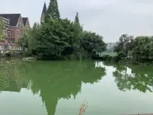 石桥铺洋房大社区 大顶跃4房3卫 诚心出售