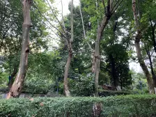 石桥铺 新锐地带四房138万