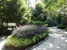 明新国际新城 2室1厅 东北