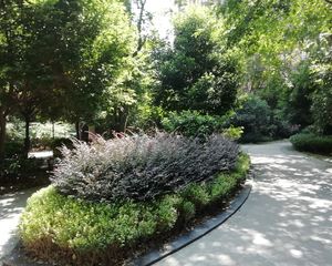 明新国际新城 2室1厅 南