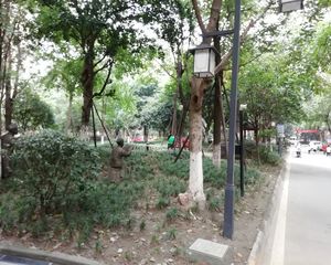 博雅新城C区 2室1厅 东