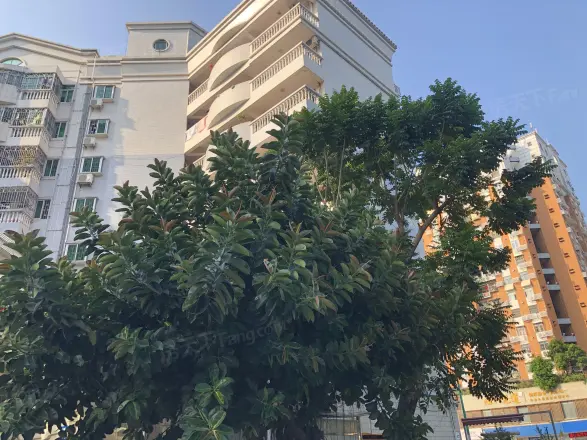 雅仕阁