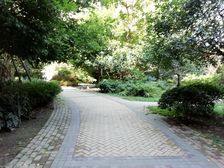 明新国际新城 3室2厅 东南