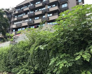 棕港公寓3室2厅南北