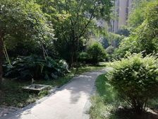 明新国际新城 5室1厅 东