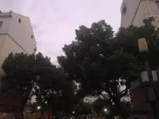 位置好 楼层高 通风采光好 纯毛坯 方便装修 价格实惠