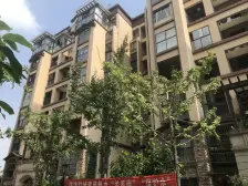 带100平大花园 户型方正,地上三层,地下两层