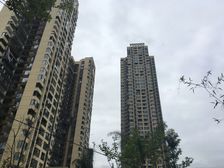 华都云景台 3室2厅 东南 南