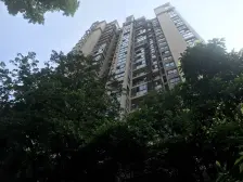 和泓四季B1区 4室3厅 南