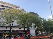 德园路375弄 2室2厅 东 东 西南