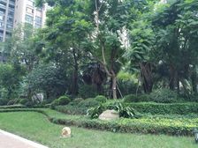 美城云庭 4室2厅 西