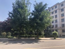乐天小区二区南阳台三室,有钥匙随时可看