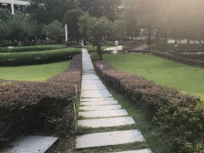 龙湖时代天街,业主精装修,交通便利,位置好。