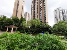 环山国际 3室1厅 东南