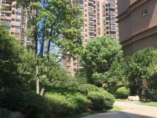 联泰香域中央B区 2室1厅 南