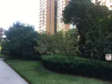 联泰香域中央A区 3室2厅 南 北