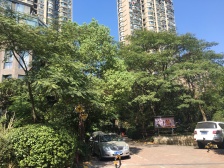 采光充足,楼层高,交通便利,正规一房