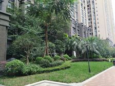 美城云庭 3室1厅 东