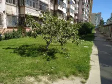 福海路旁积金山户型方正3居室出售