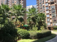 联泰香域中央A区 3室2厅 东南